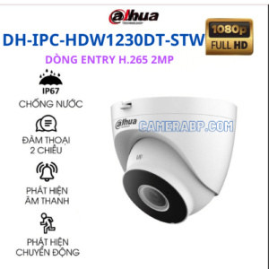 DH-IPC-HDW1230DT-STW | Camerabp.com
