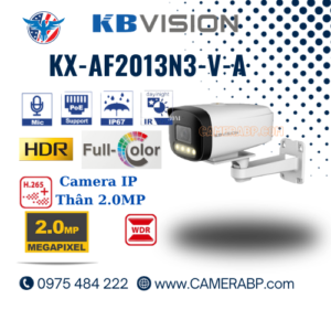 KX-AF2013N3-V-A